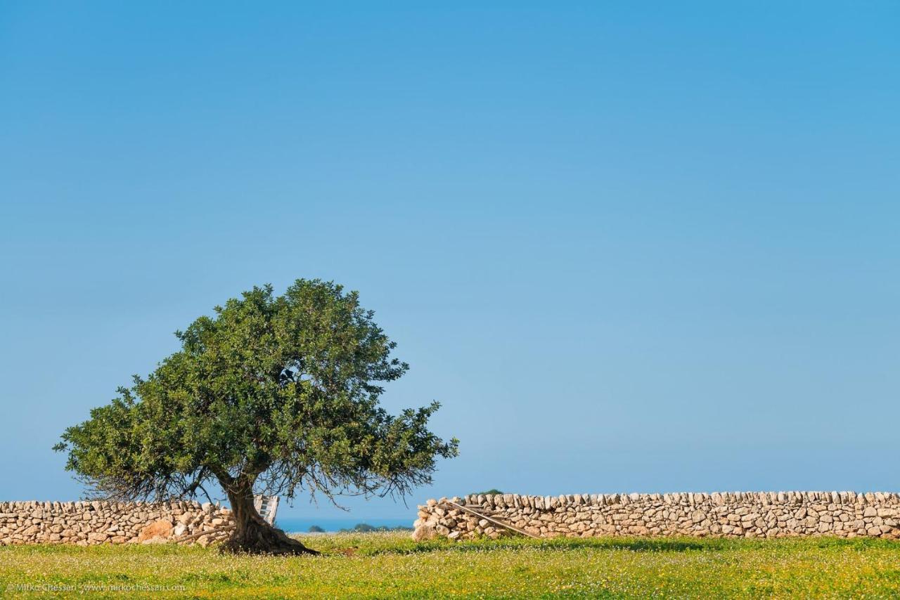 La Dimora Di Nto Bed and Breakfast Villaggio Azzurro Εξωτερικό φωτογραφία